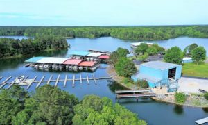 Arial view of Marina for Sale in Mississippi